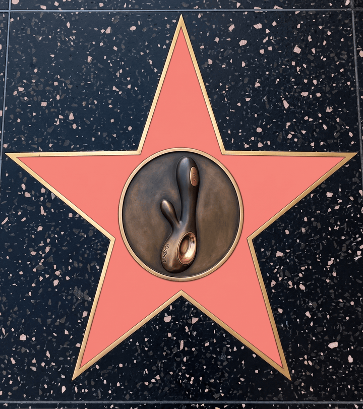 Rabbit Vibrator: What Is It and Why Is It So Popular? - LuvMechanics